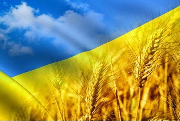 ТОП-11 досягнень аграрної України фото, ілюстрація