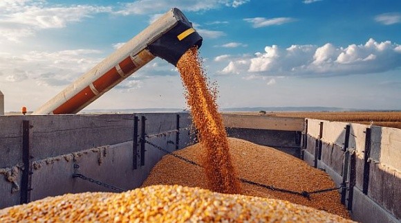 Коридор Україна-Румунія-Болгарія перетворюється на глобальний ринок зерна, – Стефанчук фото, ілюстрація