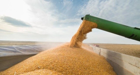 Українське зерно поступово витіснить з ринку російське, — експерт фото, ілюстрація
