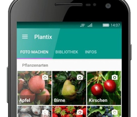 Додаток Plantix, що спроможний до самонавчання, допоможе моніторити посіви фото, ілюстрація