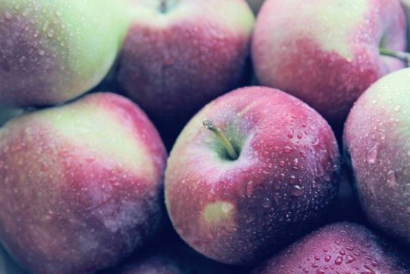 Українські виробники яблука роблять акцент на експорт до країн Близького Сходу та Південно-Східної Азії фото, ілюстрація