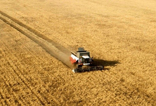Дніпропетровщина зібрала майже 3.5 млн тон зернових фото, ілюстрація