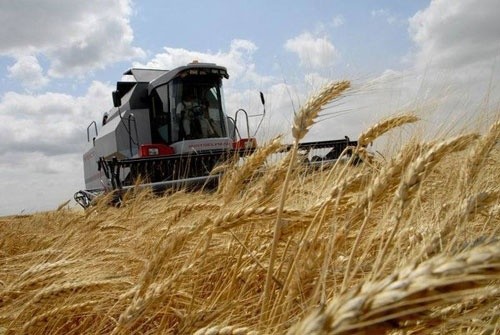 «Урожай – 2019»: Державна податкова служба Черкащини оприлюднила результати дев'ятимісячної  роботи фото, ілюстрація