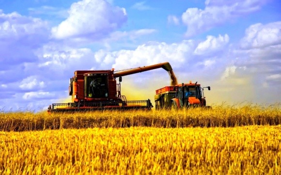 Урожай-2017: в Україні зібрано майже 20 млн т ранніх зернових фото, ілюстрація