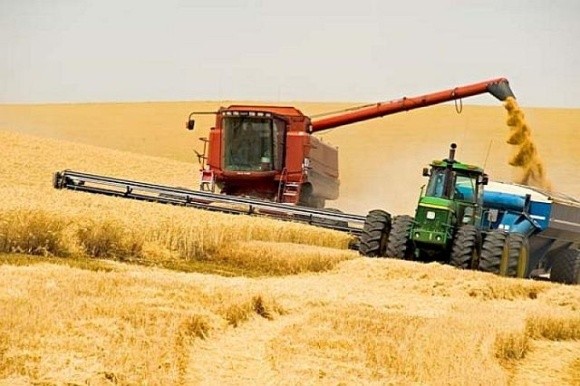 Відмова аграріїв від інтенсивних технологій знизить урожайність зернових на 30%, – Соломчук фото, ілюстрація