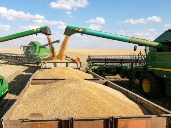 В Україні очікується хороший урожай пшениці і яблук, — експерт  фото, ілюстрація