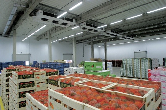 Україна втрачає 65% овочів і фруктів через неправильне зберігання фото, ілюстрація