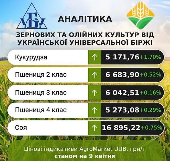 Ринок сільгосппродукції: минулого тижня ціни дещо підвищились фото, ілюстрація
