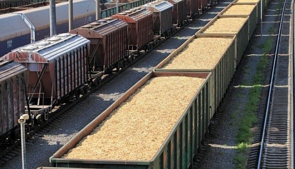 У напрямку портів рухається у 2,5 рази більше вагонів із зерном, ніж до західних переходів фото, ілюстрація
