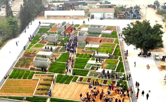 У Китаї планують будувати високотехнологічні сільськогосподарські зони фото, ілюстрація