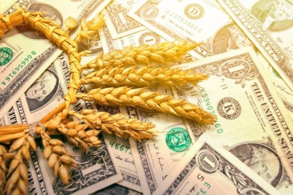 Внаслідок експорту зерна дешевше ринкової ціни Україна втратила $550 млн валютної виручки фото, ілюстрація