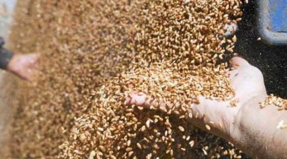США приєднались до вирішення проблеми експорту українського зерна фото, ілюстрація