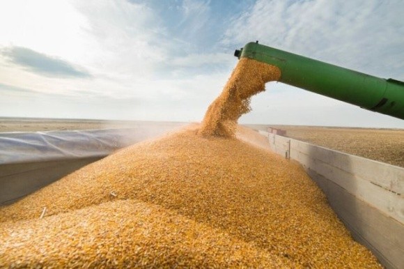 Величезні запаси зерна та логістика є найбільшими ризиками для українських аграріїв, –  Сергій Феофілов фото, ілюстрація