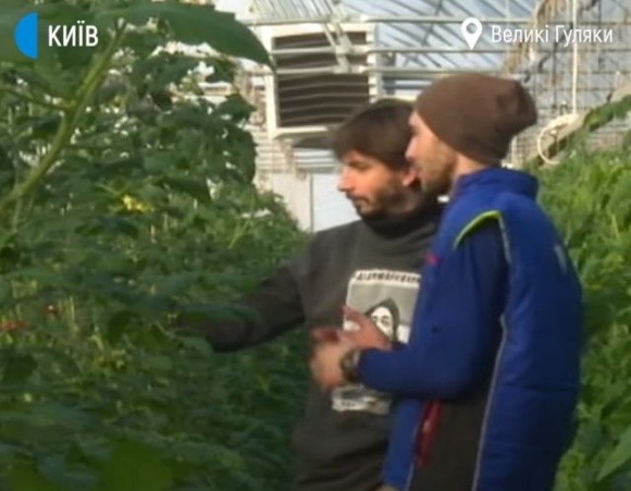 Дві тисячі фермерів на Київщині створили кооператив по вирощуванню органічних овочів фото, ілюстрація