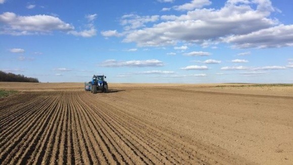 В Україні засіяли соняшником майже 4 млн гектарів фото, ілюстрація