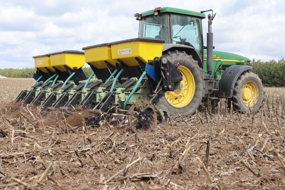 В Україні посіяли майже 3 млн га ярих зернових фото, ілюстрація
