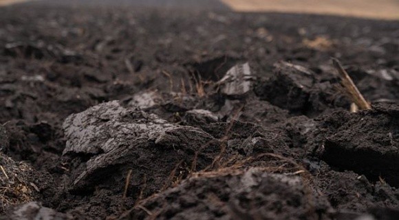 Українські вчені розробили рішення для відновлення ґрунтів з використанням донних відкладень фото, ілюстрація