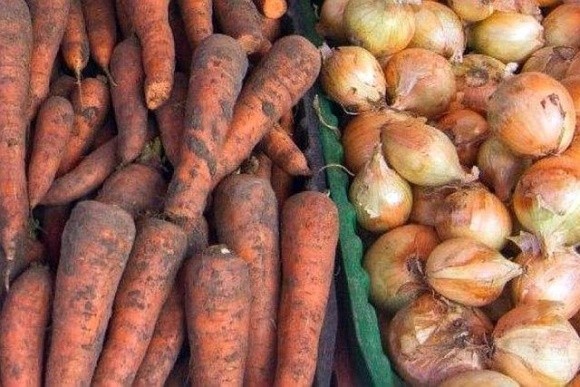Швидке відновлення виробництва цибулі та моркви зекономило споживачам 30 млрд грн фото, ілюстрація
