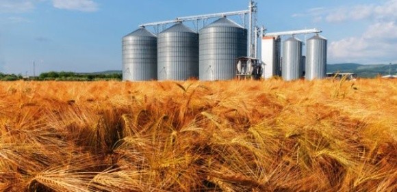Вінницька область лідирує за обсягами виробництва валової сільгосппродукції в Україні фото, ілюстрація