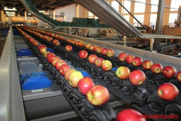 «Агро-еталон» планує побудувати на Вінниччині завод з переробки фруктів фото, ілюстрація