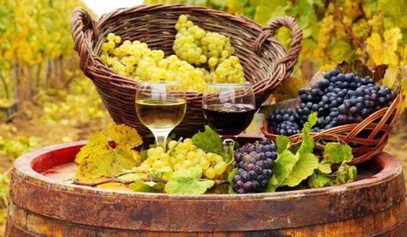 Україні загрожує втрата внутрішнього ринку винопродукції, — ННЦ фото, ілюстрація