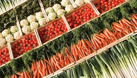 Бум овочевого виробництва в Україні: тенденції змінюються фото, ілюстрація