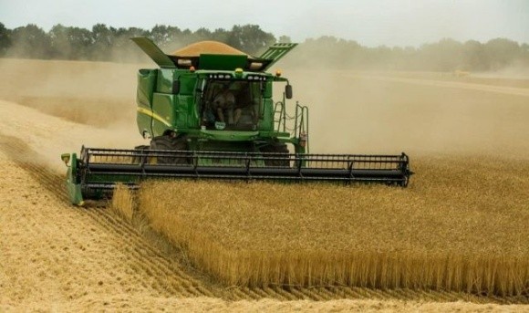 Незважаючи на посуху, Німеччина може збільшити виробництво пшениці та ріпаку фото, ілюстрація