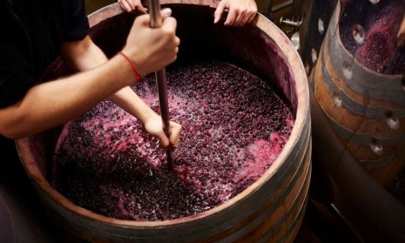За виробництвом вина Україна посідає 28 місце у світі фото, ілюстрація