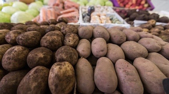 Виробники змушені знижувати ціни на картоплю фото, ілюстрація