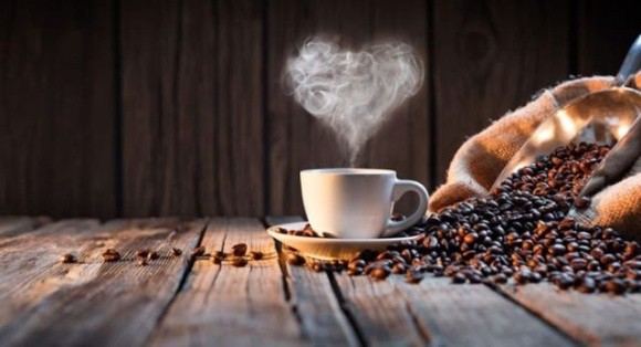 Вирощування кави — технології у кожній чашці фото, ілюстрація