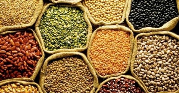 Компанії можуть вирощувати та експортувати насіння сортів, які не зареєстровані в Україні фото, ілюстрація
