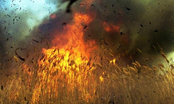 Вогнеборці попереджають аграрїів про можливість пожеж та підпалів фото, ілюстрація