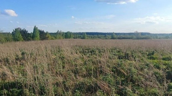 На Волині фермер не сплачував орендну плату за землю з 2017 року фото, ілюстрація