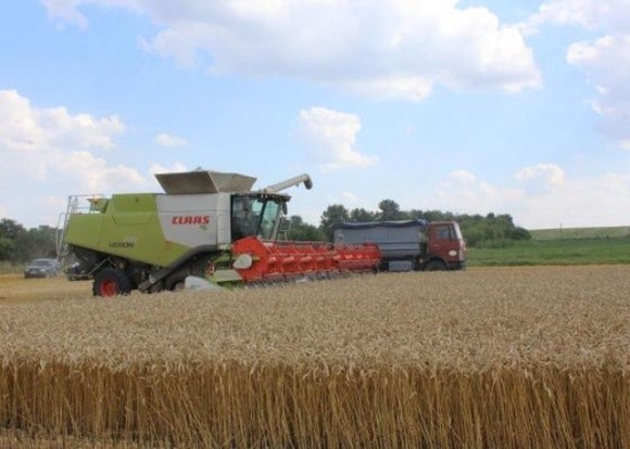 Волинське господарство завершило жнива пшениці за врожайності 7,5 т/га фото, ілюстрація