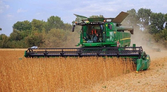 Врожайність олійних в ТАС Агро перевищила планові показники фото, ілюстрація