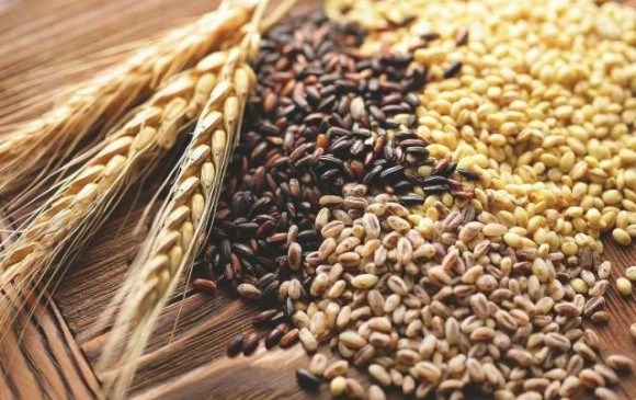 Врожайність зернових та зернобобових на Черкащині – понад 55 ц/га фото, ілюстрація