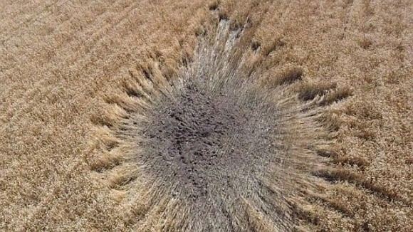 Втрати ґрунтів внаслідок війни лише у Харківській області оцінили в 37 млрд грн фото, ілюстрація