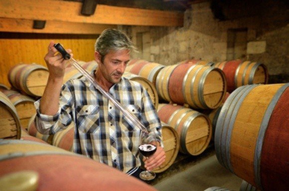 Відміна ліцензії на опт винопродукції полегшить експорт, — НААН фото, ілюстрація