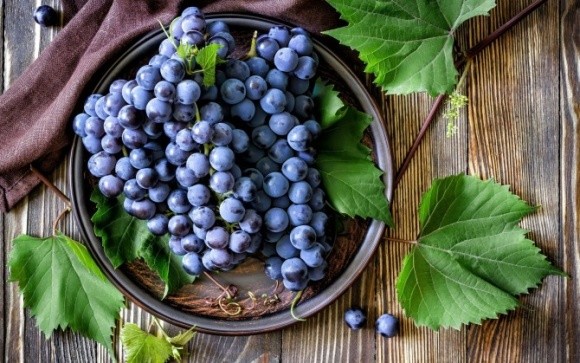 Чи скористаються українські виноградарі перспективами на світовому ринку? фото, ілюстрація