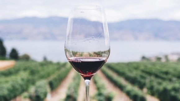 Вино допомагає організму захищатися при коронавірусі, — вчені фото, ілюстрація