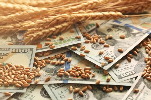 Через українсько-російську війну ціни на пшеницю можуть перетнути позначку в $400 за тонну фото, ілюстрація
