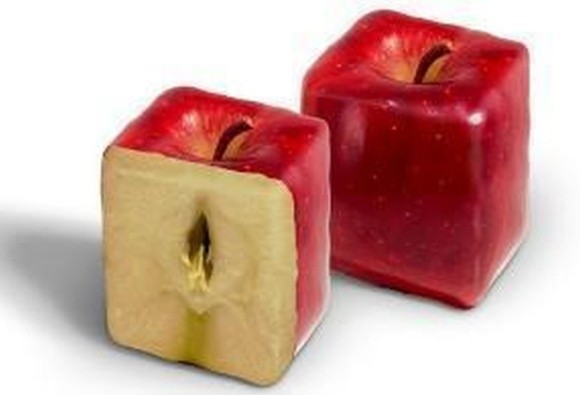 Як вирощувати квадратні яблука фото, ілюстрація