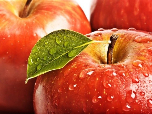 Вінниччина зібрала рекордний урожай яблук фото, ілюстрація