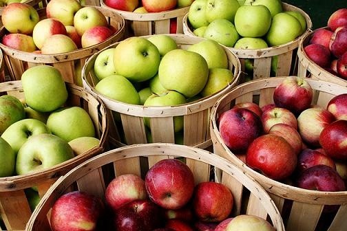 Яблука краще з`їдати з кісточками, - австралійські вчені фото, ілюстрація
