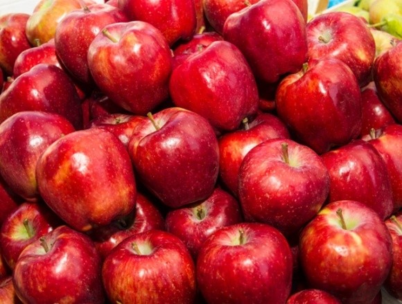 Валовий збір яблук в Україні буде вищим, ніж торік, але не рекордним фото, ілюстрація