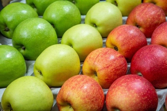 Урожай яблук в Україні знизився фото, ілюстрація