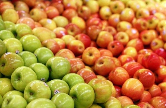 Ціна на яблука нового врожаю нижче минулорічної та продовжує знижуватись фото, ілюстрація