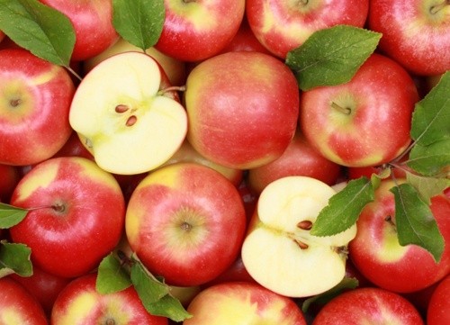 Для експорту українських яблук найбільш перспективним є ринок Азії фото, ілюстрація