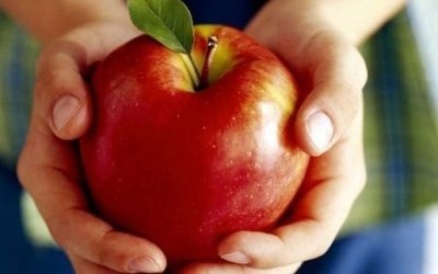 62 % експортних українських яблук відправляться в Білорусь  фото, ілюстрація