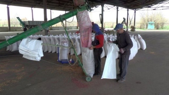 Фермери Миколаївщини отримали від ФАО по 2 тонни насіння ярого ячменю фото, ілюстрація